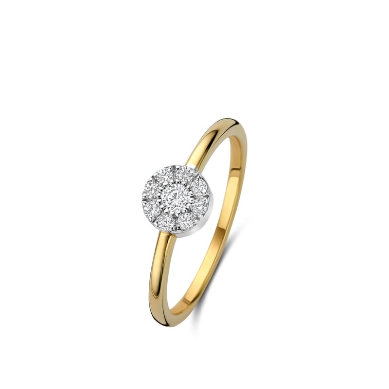 Ring in zilver en verguld zilver — Naiomy juwelen